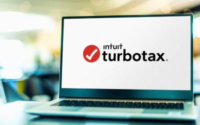 TurboTax vs Tax Preparer: How Should I File My Skagit County Business Taxes?