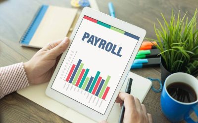 How to Choose Payroll Software for Your Skagit County Small Business